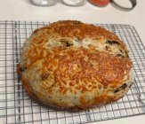 IMG_5370.jpeg