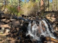 IMG_0164.jpeg
