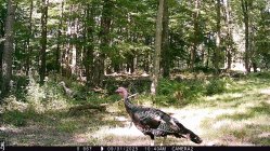 IMG_0057.JPG
