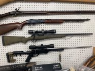 IMG_7315.jpeg IMG_7315.jpeg
