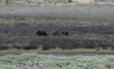 IMG_6313.jpeg