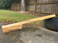 IMG_3436.jpeg