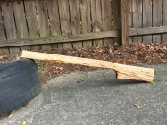 IMG_3434.jpeg