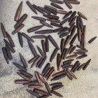 IMG_3672.jpeg