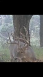 IMG_20250917_164054.jpg