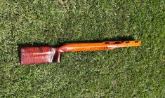 IMG_3449.jpeg