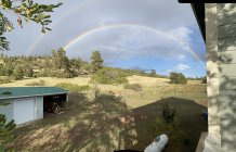 IMG_0777.jpeg