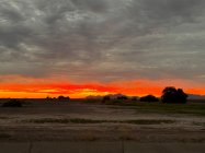 IMG_5482.jpeg