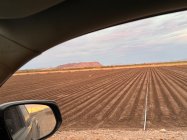 IMG_5484.jpeg