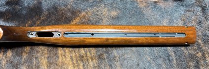 IMG_2325.jpeg