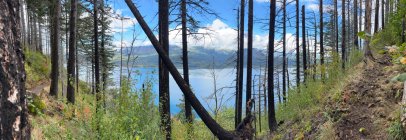 IMG_8058.jpeg