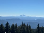 IMG_8087.jpeg