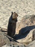 IMG_8122.jpeg