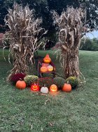 IMG_3909.jpeg