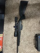 IMG_8142.jpeg