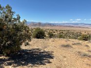 IMG_0168.jpeg