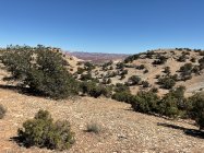 IMG_0170.jpeg