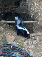 IMG_5244.jpg