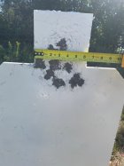 IMG_4203.jpeg
