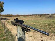 IMG_8264.jpeg
