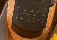 IMG_4146.jpeg