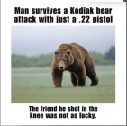 1759098873342.png