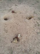 20250928_092011.jpg 20250928_092011.jpg