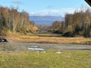 IMG_7310.jpeg