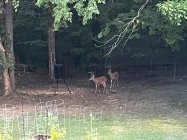 IMG_2482.jpeg