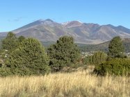 IMG_0786.jpeg