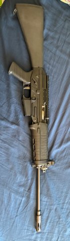 IMG_1975.jpeg IMG_1975.jpeg
