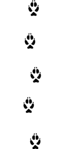 1759296103775.png