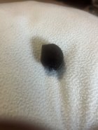 IMG_3281.jpeg