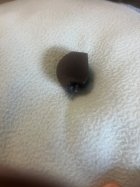 IMG_3280.jpeg