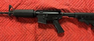 AR-22 -1 .jpg