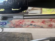IMG_2735.jpeg