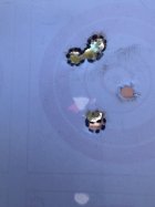 IMG_2734.jpeg
