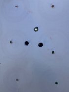 IMG_2736.jpeg