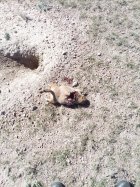 20251002_120445.jpg 20251002_120445.jpg