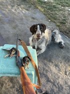IMG_1342.jpeg