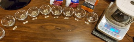 Primer Sorting.jpg