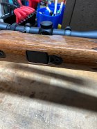 IMG_3922.jpeg