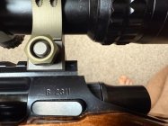 IMG_1915.jpeg