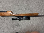 IMG_1912.jpeg