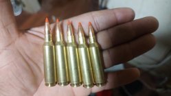 full-34110-270882-img_20251006_164411626.jpg full-34110-270882-img_20251006_164411626.jpg