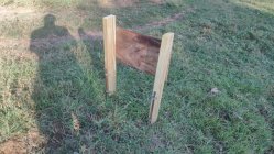 full-34110-270898-img_20251006_171433891.jpg full-34110-270898-img_20251006_171433891.jpg