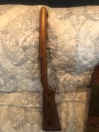 IMG_7267.jpeg