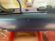 IMG_5906.jpeg