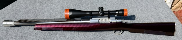 Rifle full length.JPG
