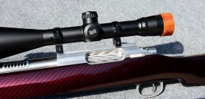 Close up of Action and scope.JPG
